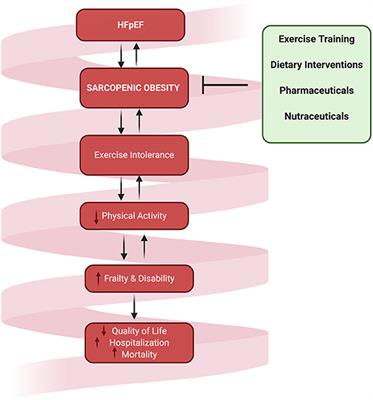 Sarcopenic Obesity in Heart Failure With Preserved Ejection Fraction